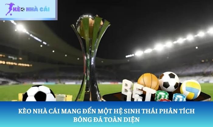 Trang chủ 7 Kèo nhà cái mang đến một hệ sinh thái phân tích bóng đá toàn diện
