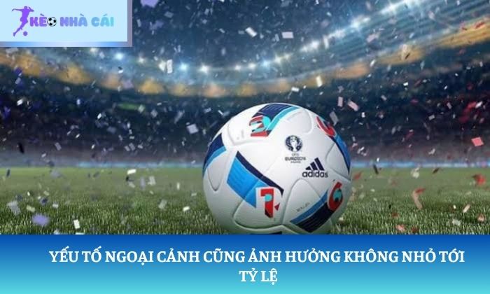 Trang chủ 14 Yếu tố ngoại cảnh cũng ảnh hưởng không nhỏ tới tỷ lệ