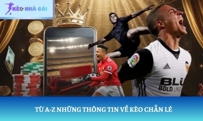 Cách đặt kèo chẵn lẻ - Bí quyết bắt kèo cực chuẩn từ chuyên gia 1 cach dat keo chan le 1