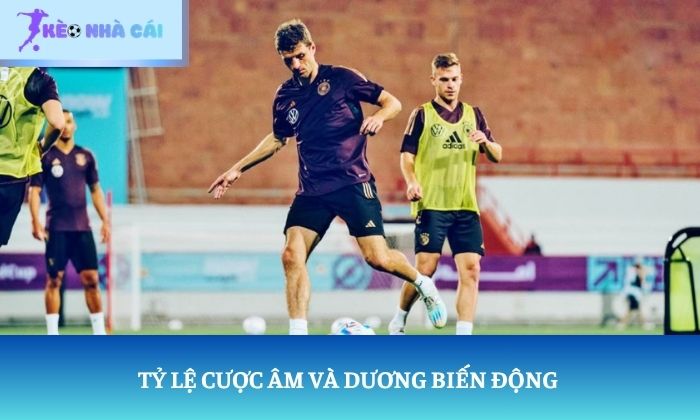cách tính tiền ăn kèo bóng đá cách tính tiền ăn kèo bóng đá